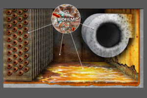 Industrial air handling unit with layer of biofilm