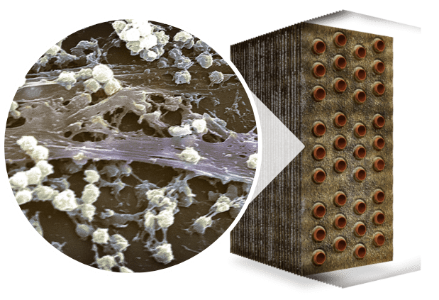 Inset image of the inside of HVAC coils showing biofilm spores before coil cleaning and coil restoration